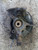 TOYOTA COROLLA VERSO «II» (2004) ASSALE FUSELLO RUOTA ANT. SX. USATO Da 2004 A 2005 [[225628]]