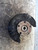 TOYOTA COROLLA VERSO «II» (2004) ASSALE FUSELLO RUOTA ANT. DX. USATO Da 2004 A 2005 [[225627]]