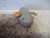 OPEL CORSA «D» (2007) TERMICO VASCHETTA ACQUA USATO Da 2006 A 2010 [[224898]]