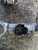 FIAT DUCATO «244» (2002) STERZO CILINDRETTO / COMMUTATORE ACCENSIONE USATO Da 2001 A 2006 [[224731]]