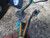 CITROEN C4 PICASSO «I» (2007) CRISTALLI RETROVISORE ESTERNO ANT. SX. USATO Da 2006 A 2013 [[224680]]