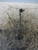 LANCIA YPSILON «III» (2015) ASSALE BIELLETTA STABILIZZATRICE ANT. DX. USATO Da 2016 A 2021 [[224449]]