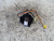 CHEVROLET MATIZ «II» (2006) STERZO PIASTRA CONTATTO USATO Da 2005 A 2011 [[224331]]