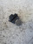 ALFA ROMEO GIULIETTA (2010) TERMICO RESISTENZA MOTORINO VENTILAZIONE ABITACO USATO [[224046]]