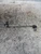 FIAT PANDA «III» (2012) ASSALE BIELLETTA STABILIZZATRICE ANT. DX. USATO Da 2012 in poi [[223678]]