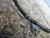 FIAT SEDICI (2006) MOTORE TUBO ASTA OLIO USATO Da 2005 A 2009 [[223334]]