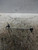 FIAT PANDA «III» (2012) ASSALE BIELLETTA STABILIZZATRICE ANT. DX. USATO Da 2012 in poi [[223233]]