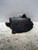 MANIGLIA PORTA EST. POST. DX. USATO DAL 2007 AL 2011 FIAT CROMA «II» (2007) 735467570 [[223093]]