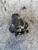 OPEL MERIVA «B» (2010) SCARICO E INIEZIONE POMPA INIEZIONE USATO Da 2010 A 2013 [[222814]]