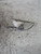 FIAT 600 (2005) FANALERIA FANALE FRECCIA FRONTALE ANT. SX. USATO Da 2005 in poi [[222516]]