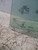 AUDI A4 «8W5» AVANT (2015) CRISTALLI CRISTALLO SCENDENTE PORTA POST. SX. USATO Da 2015 A 2019 [[222459]]