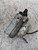 CITROEN C3 «I» (2002) IMPIANTO ELETTRICO MOTORINO AVVIAMENTO USATO [[220125]]