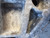 NISSAN QASHQAI «I» (2010) MOTORE SUPPORTO GOMMA MOTORE DX. USATO Da 2010 in poi [[218659]]