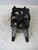 FIAT SEICENTO (1998) TERMICO ELETTROVENTOLA USATO Da 1998 A 2000 [[217821]]