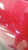 CHEVROLET AVEO «II» (2007) LAMIERATI ESTERNI COFANO ANT. USATO Da 2009 A 2011 [[217538]]