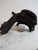 CITROEN C2 (2004) ASSALE FUSELLO RUOTA ANT. SX. USATO Da 2007 A 2010 [[217401]]