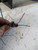 RETROVISORE ESTERNO ANT. DX. USATO DAL 2004 AL 2010 CITROEN C2 (2004) 812764 [[217277]]