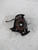 FIAT PANDA «II» (2009) ASSALE FUSELLO RUOTA ANT. DX. USATO Da 2009 A 2010 [[217110]]