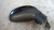 SEAT LEON «1P1» (2005) CRISTALLI RETROVISORE ESTERNO ANT. DX. USATO Da 2005 in poi [[216236]]