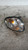 TOYOTA COROLLA «III» (2000) FANALERIA FANALINO COMPLETO ANT. DX. USATO Da 2000 A 2001 [[215711]]