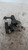 KIA PICANTO «I» (2004) STERZO POMPA SERVOSTERZO USATO Da 2004 A 2008 [[215494]]