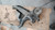 MERCEDES VITO «W447» (2014) ASSALE BRACCIO OSCILLANTE POST. SX. USATO Da 2014 A 2019 [[215290]]