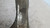 FIAT CROMA «II» (2007) ASSALE FUSELLO RUOTA ANT. DX. USATO Da 2007 A 2011 [[215184]]