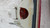 MERCEDES CLASSE B «W245» (2006) FANALERIA FANALE INT. POST. SX. USATO Da 2005 A 2008 [[215141]]