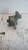 TOYOTA RAV 4 «II» (2000) MOTORE TENDICINGHIA ACCESSORI SERVO USATO Da 2001 A 2005 [[90436]]