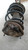 TOYOTA AURIS «I» (2007) ASSALE AMMORTIZZATORE ANT. DX. USATO Da 2007 A 2010 [[214675]]