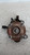 FORD FIESTA «VI» (2008) ASSALE FUSELLO RUOTA ANT. DX. USATO Da 2008 A 2012 [[214648]]