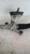 FORD FIESTA «VI» (2008) STERZO SCATOLA STERZO C/SERVOSTERZO USATO Da 2008 A 2012 [[214643]]