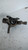 OPEL ASTRA «H» (2005) ASSALE MOZZO RUOTA C/CUSCINETTO ANT. SX. USATO Da 2005 A 2009 [[90724]]