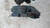 VOLKSWAGEN GOLF «V» (2004) STERZO PIASTRA CONTATTO USATO [[214277]]