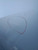 FORD FOCUS «IV» SW (2014) LAMIERATI ESTERNI PORTA POST. DX. USATO [[91453]]