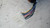 HONDA CIVIC «VIII» (2006) CRISTALLI RETROVISORE ESTERNO ANT. DX. USATO Da 2009 A 2008 [[213940]]
