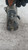 FIAT GRANDE PUNTO (2006) IMPIANTO ELETTRICO MOTORINO AVVIAMENTO USATO Da 2008 A 2010 [[213760]]