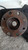 FIAT GRANDE PUNTO (2006) ASSALE FUSELLO RUOTA ANT. SX. USATO Da 2008 A 2010 [[213754]]