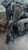 FORD FOCUS «IV»  (2011) TERMICO RADIATORE ACQUA USATO Da 2011 A 2014 [[213478]]