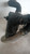 AUDI A6 «4F2» (2005) SCARICO E INIEZIONE INTERCOOLER SX. USATO Da 2004 A 2008 [[213428]]