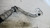 VOLKSWAGEN TOURAN «I» (2003) TERMICO FLESSIBILE A/C (CONDENSATORE/COMPRESSORE) USATO Da 2003 A 2006 [[212999]]