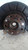 VOLKSWAGEN TOURAN «I» (2003) ASSALE MOZZO RUOTA C/CUSCINETTO ANT. DX. USATO Da 2003 A 2006 [[212992]]