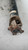 TOYOTA LANDCRUISER 90 (1996) CAMBIO E TRASMISSIONE ALBERO TRASMISSIONE ANT. USATO [[212149]]