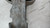 MERCEDES CLASSE B «W246» (2012) MOTORE SUPPORTO ELASTICO SUP. POST. MOTORE USATO [[211096]]