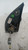 RETROVISORE ESTERNO ANT. DX. USATO DAL 2003 AL 2009 FIAT PANDA «II» (2004) 735357185 [[212128]]
