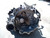 VOLKSWAGEN POLO «V» (2006) CAMBIO E TRASMISSIONE CAMBIO (REVISIONATO) USATO Da 2006 A 2010 [[211297]]