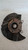 FUSELLO RUOTA ANT. SX. USATO DAL 2001 AL 2006 BMW SERIE 3 «E46» TOURING (1998) 31216756541 [[211369]]