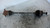 SEMIASSE POST. DX. USATO DAL 2012 FIAT PANDA «III» (2012) 52044145 [[221982]]