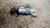 TOYOTA YARIS (FRANCE ) «I» (2002) STERZO BLOCCASTERZO USATO Da 2002 A 2005 [[228827]]