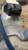 TOYOTA YARIS (FRANCE ) «I» (2002) STERZO BLOCCASTERZO USATO Da 2002 A 2005 [[228827]]